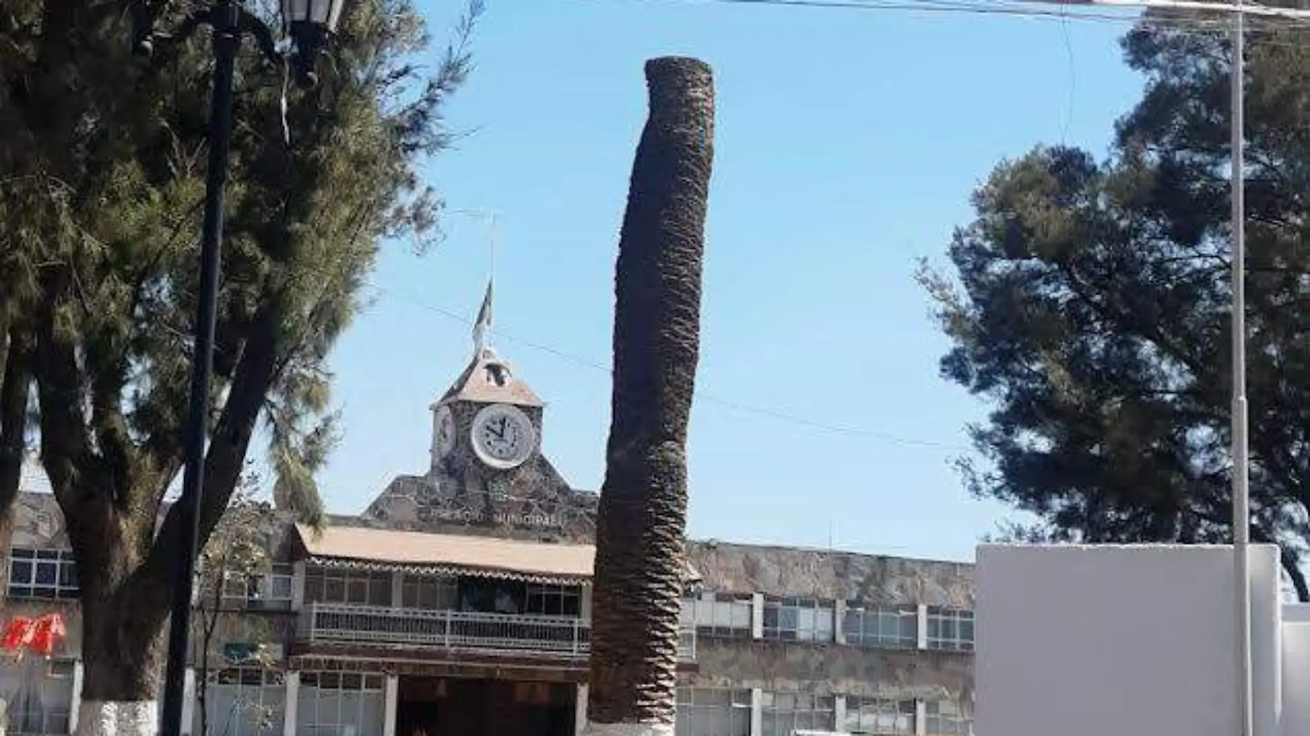 palmera otzolotepec 3